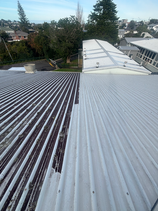Commercial Roof Water Blasting